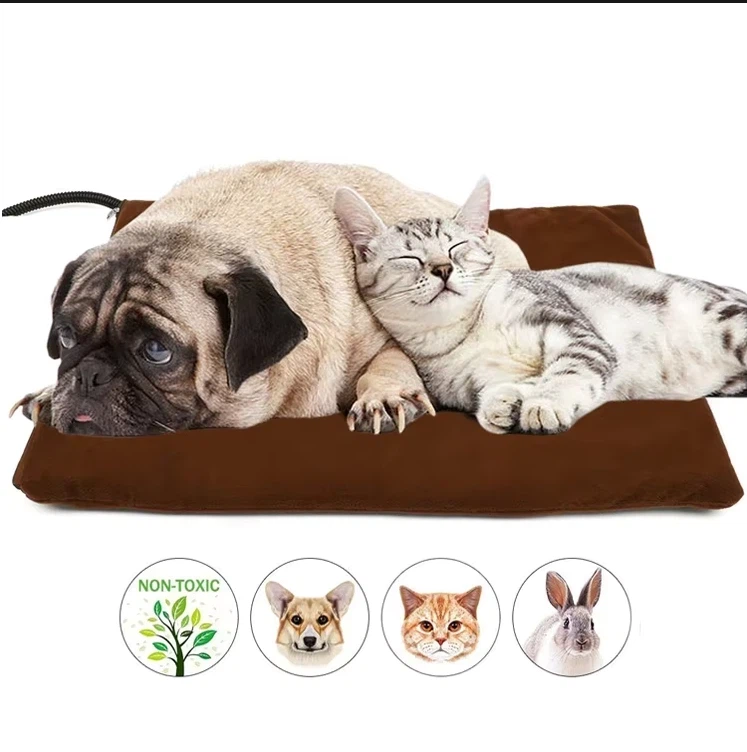 هل يمكن استخدام بطانيات تدفئة القطط الخارجية للقطط الصغيرة؟